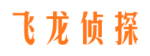 隆子市私家侦探